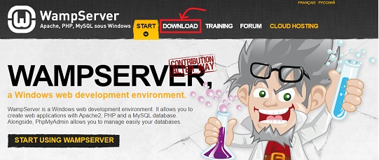 WampServer Homepage