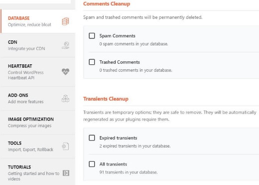 WP Rocket Database Clean
